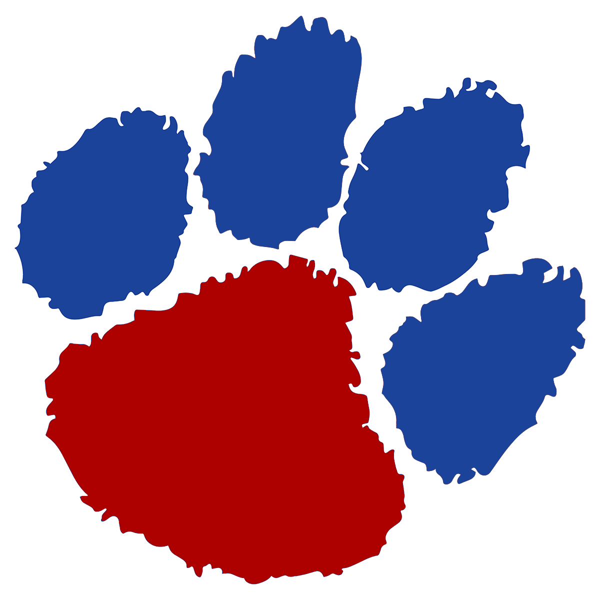 analy high school