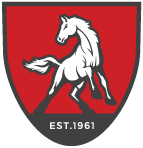 Mundelein HS logo